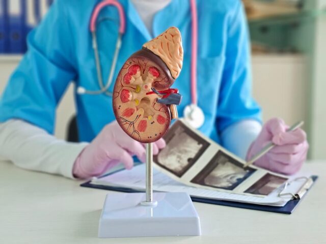 Kada je potrebno uraditi ultrazvuk bubrega?